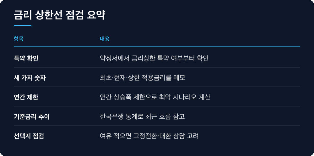금리 상한선 점검 요약